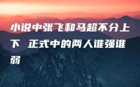 小说中张飞和马超不分上下 正式中的两人谁强谁弱