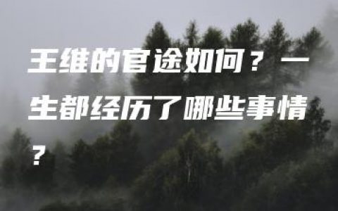 王维的官途如何？一生都经历了哪些事情？