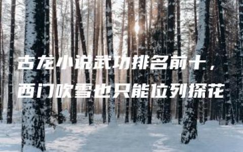 古龙小说武功排名前十，西门吹雪也只能位列探花