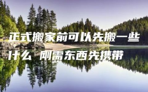 正式搬家前可以先搬一些什么 刚需东西先携带