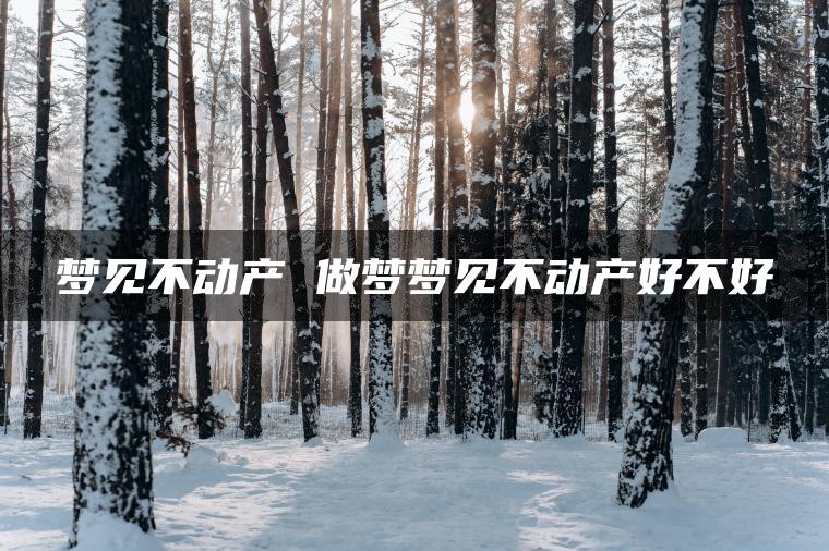 梦见不动产 做梦梦见不动产好不好