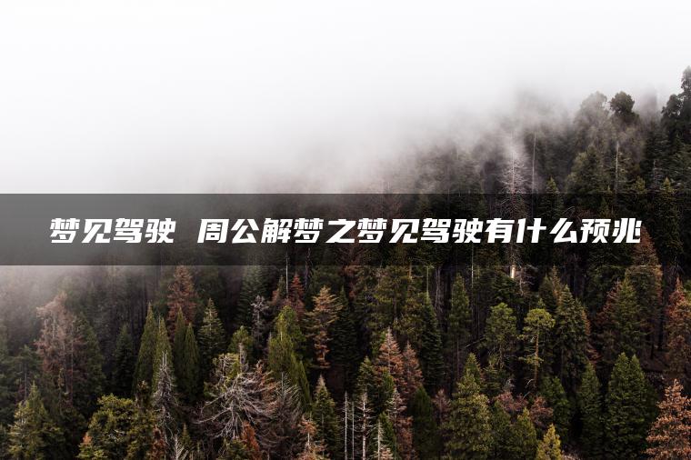 梦见驾驶 周公解梦之梦见驾驶有什么预兆