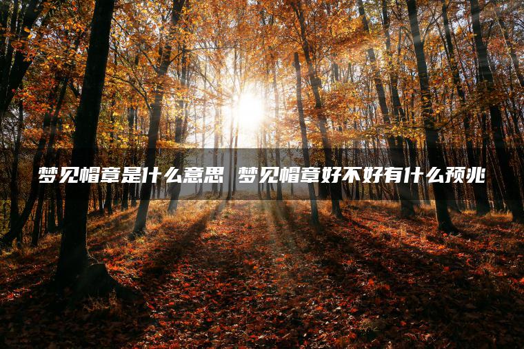 梦见帽章是什么意思 梦见帽章好不好有什么预兆