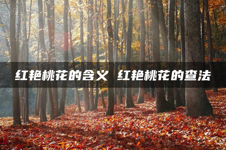 红艳桃花的含义 红艳桃花的查法