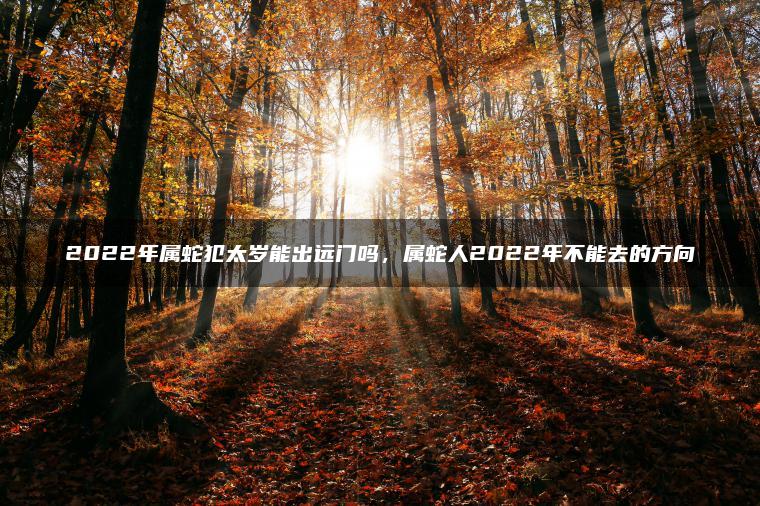 2022年属蛇犯太岁能出远门吗，属蛇人2022年不能去的方向