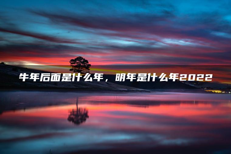 牛年后面是什么年，明年是什么年2022