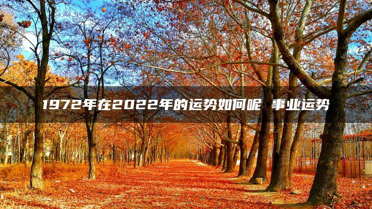 1972年在2022年的运势如何呢 事业运势