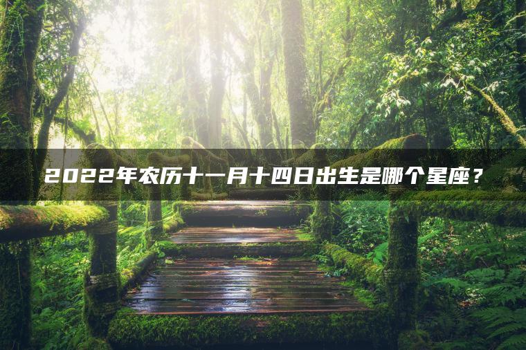 2022年农历十一月十四日出生是哪个星座？