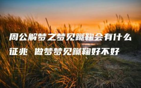 周公解梦之梦见蹴鞠会有什么征兆 做梦梦见蹴鞠好不好