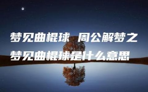 梦见曲棍球 周公解梦之梦见曲棍球是什么意思