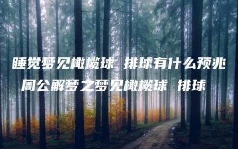 睡觉梦见橄榄球 排球有什么预兆 周公解梦之梦见橄榄球 排球