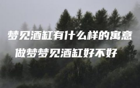 梦见酒缸有什么样的寓意 做梦梦见酒缸好不好