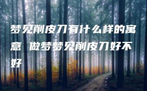 梦见削皮刀有什么样的寓意 做梦梦见削皮刀好不好