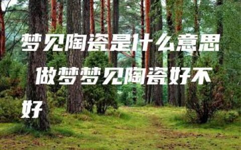 梦见陶瓷是什么意思 做梦梦见陶瓷好不好