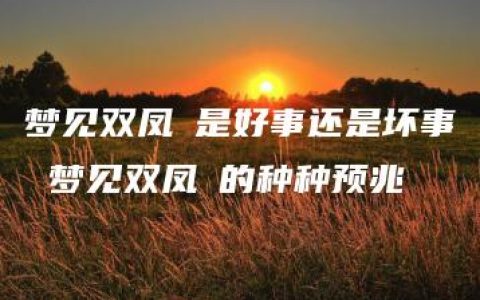 梦见双凤玦是好事还是坏事 梦见双凤玦的种种预兆