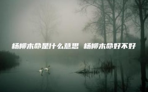 杨柳木命是什么意思 杨柳木命好不好