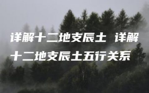 详解十二地支辰土 详解十二地支辰土五行关系