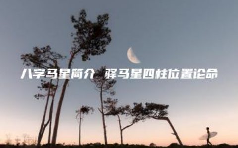 八字马星简介 驿马星四柱位置论命