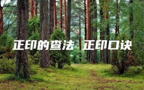 正印的查法 正印口诀