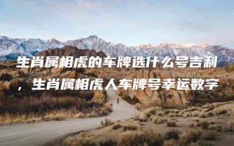 生肖属相虎的车牌选什么号吉利，生肖属相虎人车牌号幸运数字