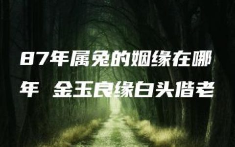 87年属兔的姻缘在哪年 金玉良缘白头偕老