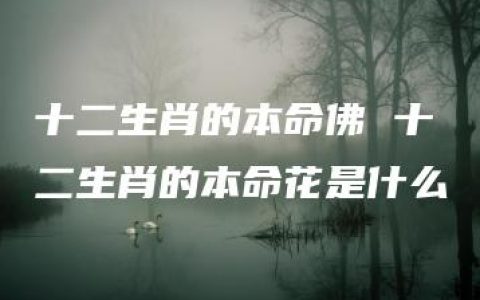 十二生肖的本命佛 十二生肖的本命花是什么