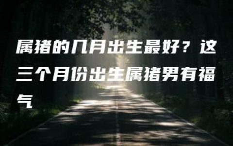 属猪的几月出生最好？这三个月份出生属猪男有福气