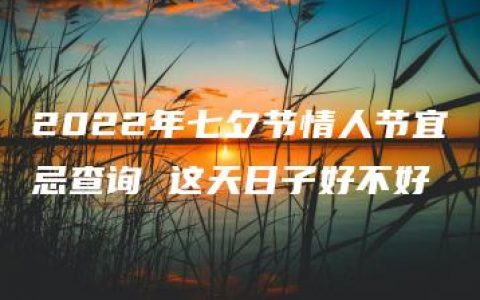 2022年七夕节情人节宜忌查询 这天日子好不好