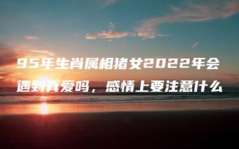 95年生肖属相猪女2022年会遇到真爱吗，感情上要注意什么