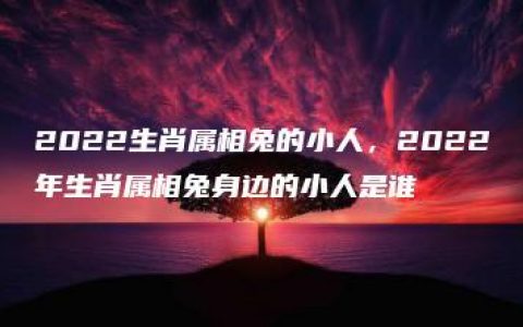 2022生肖属相兔的小人，2022年生肖属相兔身边的小人是谁