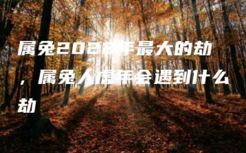 属兔2022年最大的劫，属兔人虎年会遇到什么劫