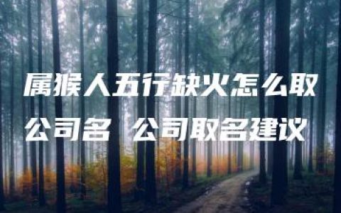 属猴人五行缺火怎么取公司名 公司取名建议