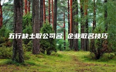 五行缺土取公司名 企业取名技巧