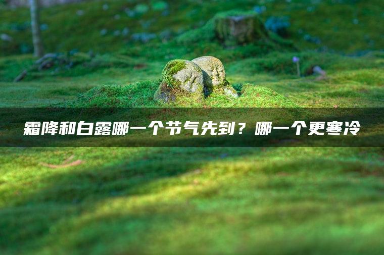 霜降和白露哪一个节气先到？哪一个更寒冷