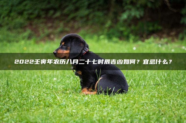 2022壬寅年农历八月二十七时辰吉凶如何？宜忌什么？