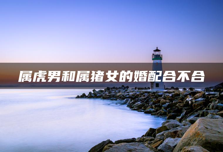 属虎男和属猪女的婚配合不合