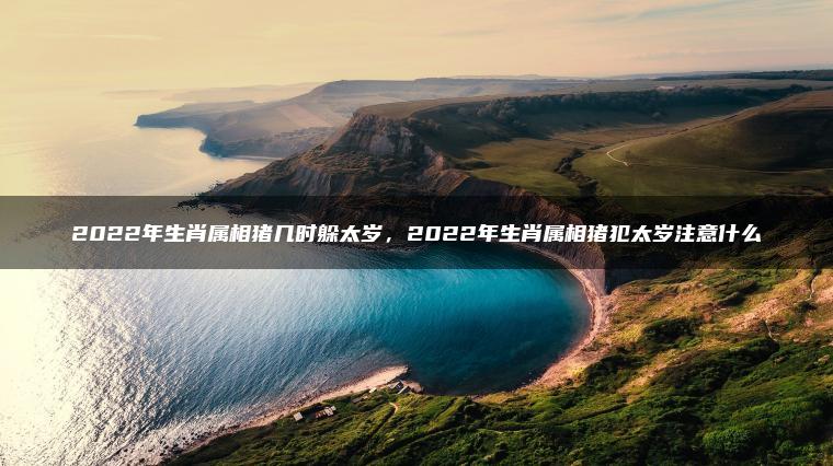 2022年生肖属相猪几时躲太岁，2022年生肖属相猪犯太岁注意什么