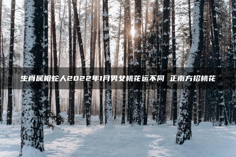 生肖属相蛇人2022年1月男女桃花运不同 正南方招桃花
