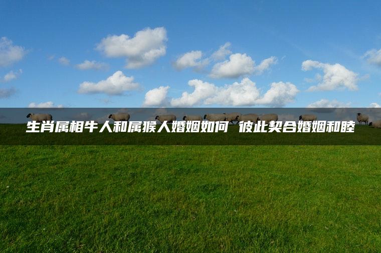 生肖属相牛人和属猴人婚姻如何 彼此契合婚姻和睦