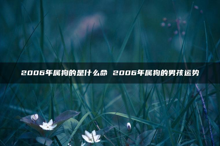 2006年属狗的是什么命 2006年属狗的男孩运势