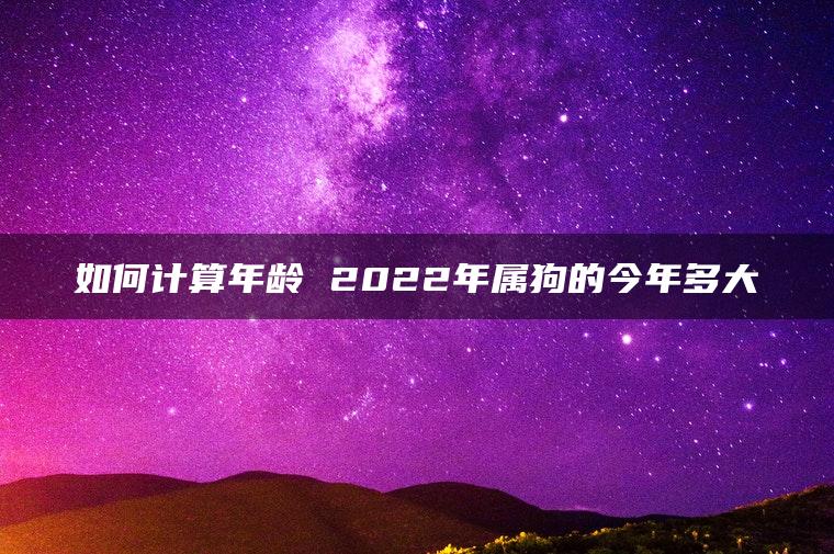 如何计算年龄 2022年属狗的今年多大