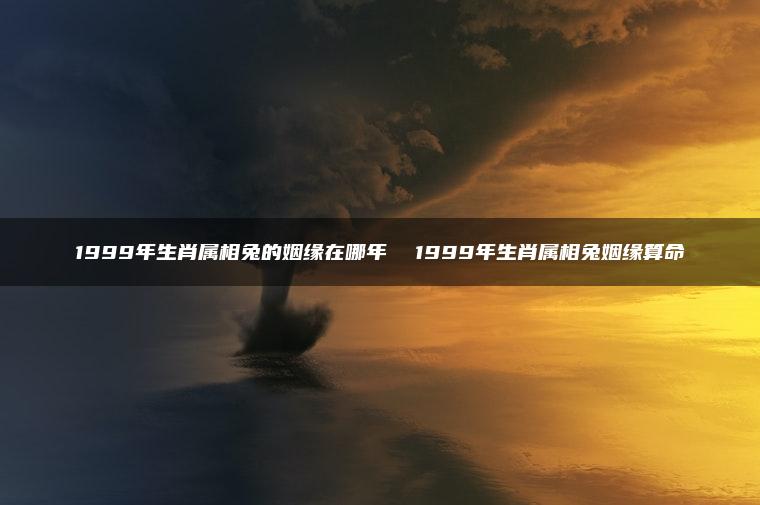 1999年生肖属相兔的姻缘在哪年  1999年生肖属相兔姻缘算命