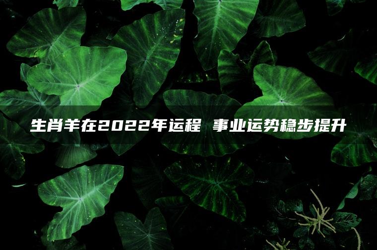 生肖羊在2022年运程 事业运势稳步提升