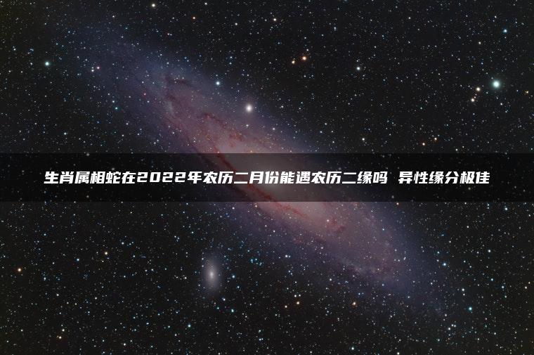 生肖属相蛇在2022年农历二月份能遇农历二缘吗 异性缘分极佳