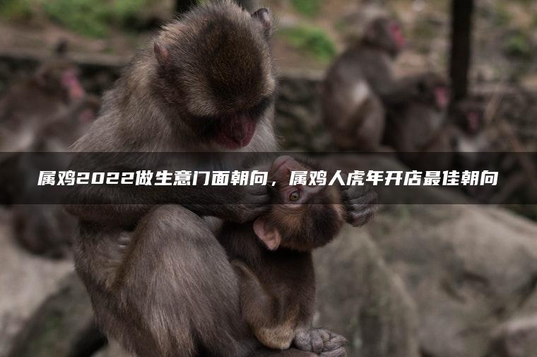 属鸡2022做生意门面朝向，属鸡人虎年开店最佳朝向