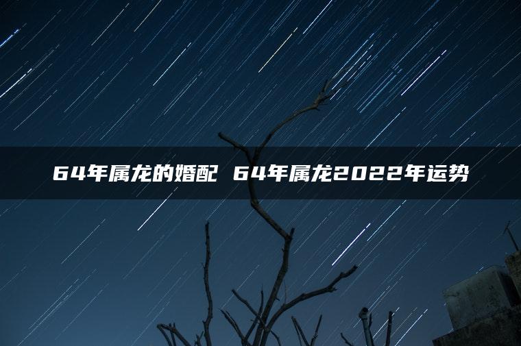 64年属龙的婚配 64年属龙2022年运势