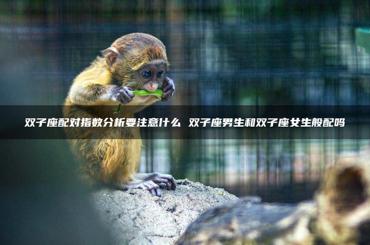 双子座配对指数分析要注意什么 双子座男生和双子座女生般配吗