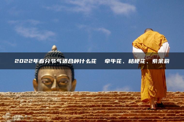 2022年春分节气适合种什么花  牵牛花、桔梗花、紫茉莉