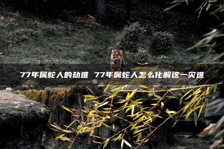 77年属蛇人的劫难 77年属蛇人怎么化解这一灾难