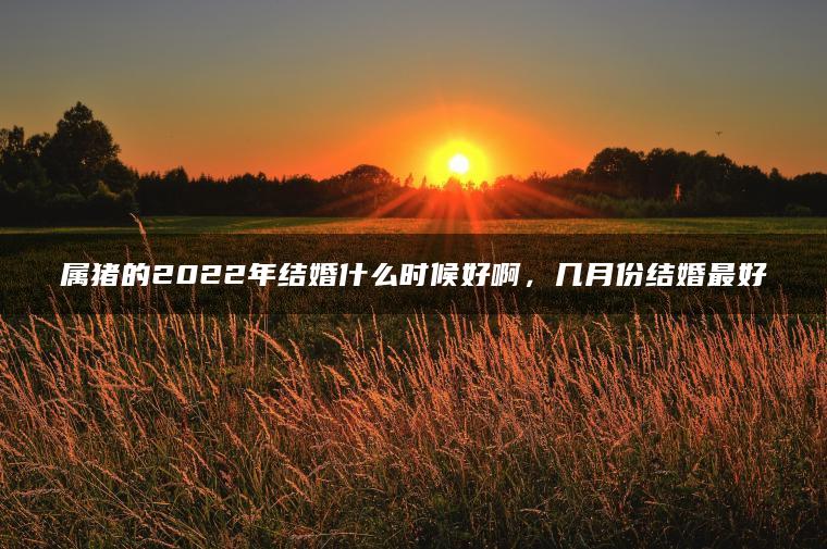 属猪的2022年结婚什么时候好啊，几月份结婚最好